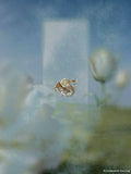 Petal Prism