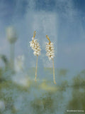 Golden Grain