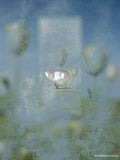 Wild Vine Pearl