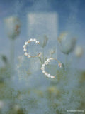 Pearl Crescent