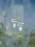 Meadow Orbit