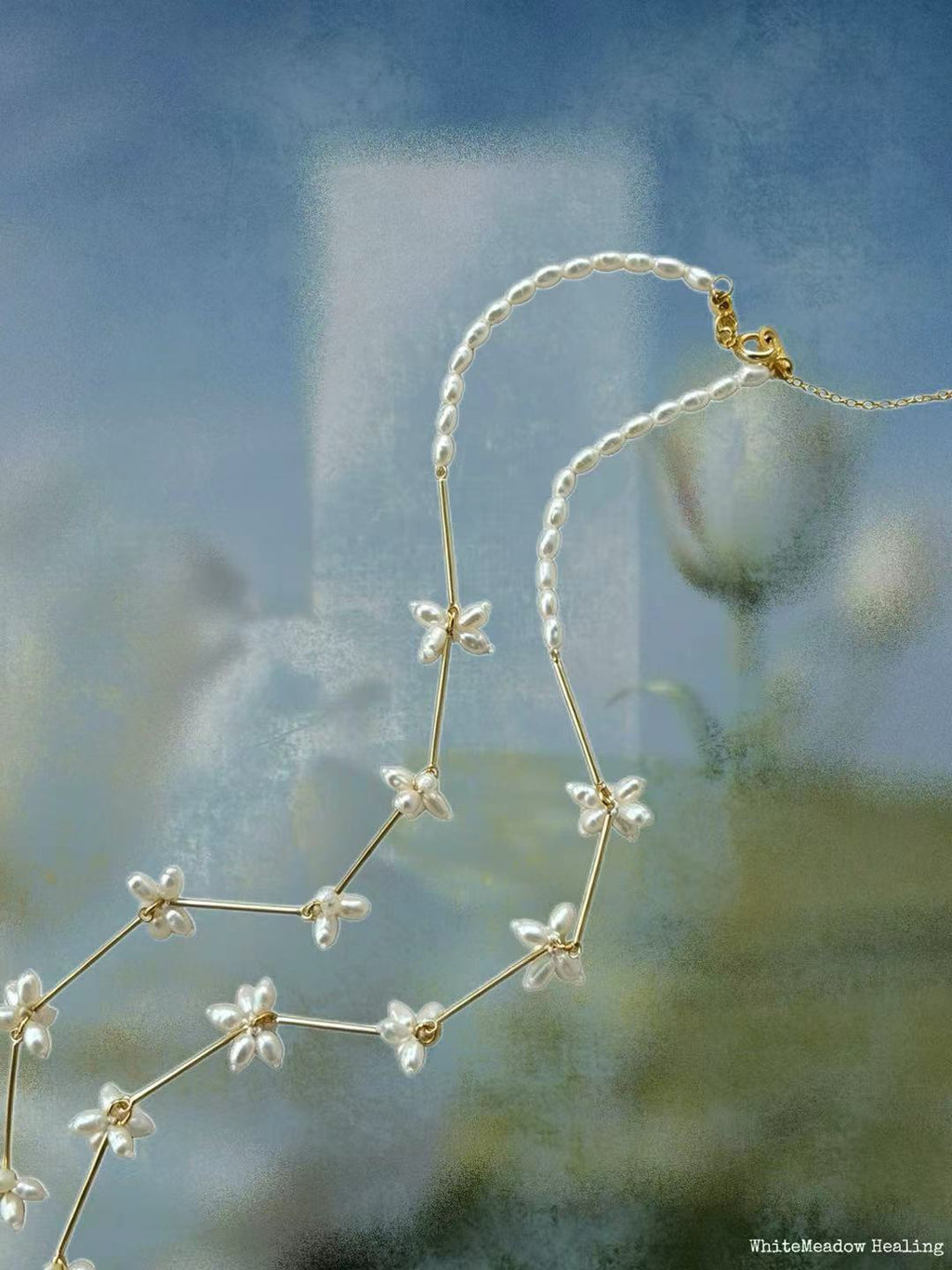 Seed & Bloom