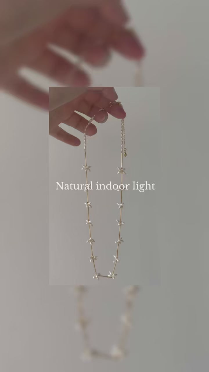 Seed & Bloom